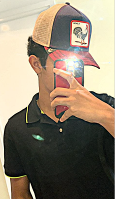 <em>pedro ferrer</em>